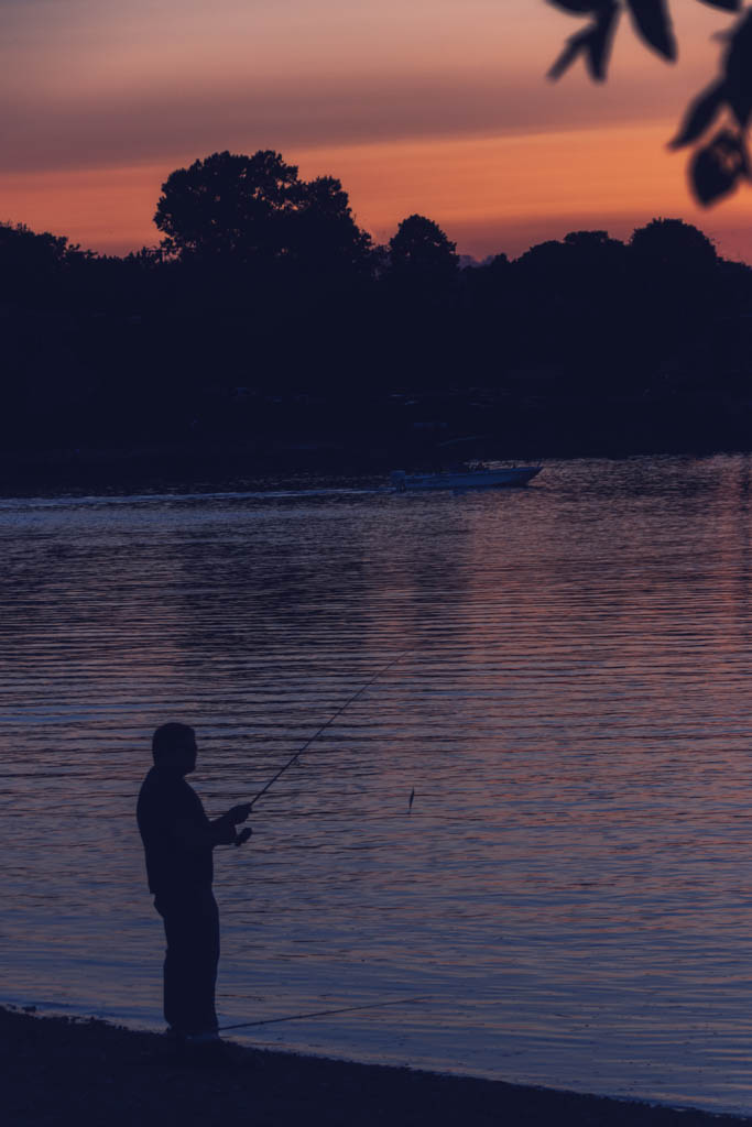 Print In Class B By Sandy O'Hare For Just Me And The Fish NOV-2018.jpg